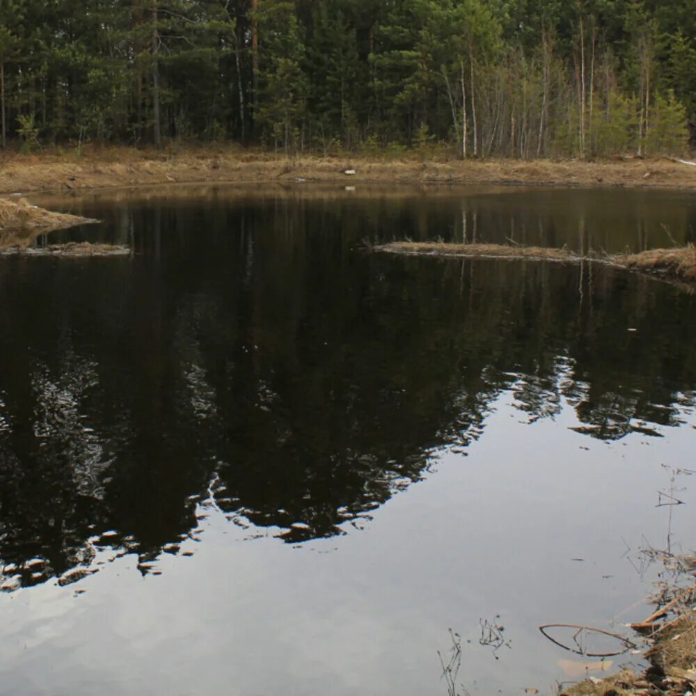 увяз в болоте