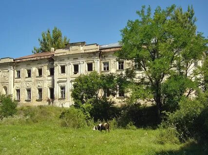 Включи мерчик
