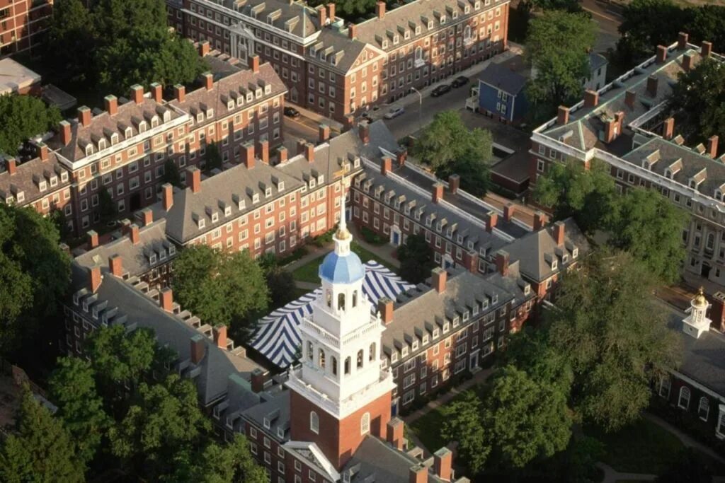 Университет йель в сша. Бгпу им м танка. Куда университет. Куда университет. Выпускник вуза.