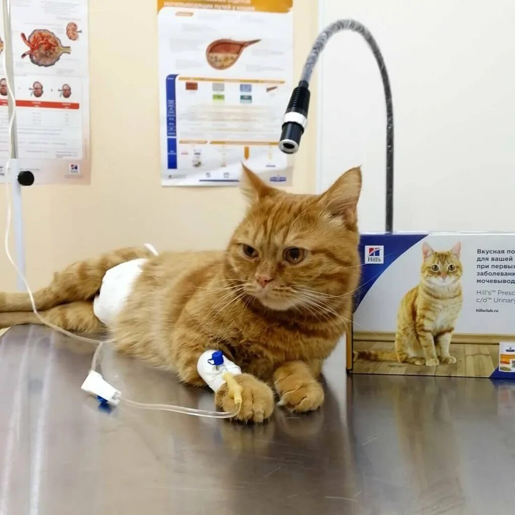 Восточный банк в славянске на кубани. 12 школа славянск на кубани. Славянск краснодарский край. Шифудо славянск на кубани. Торговый дом идеал владимир.