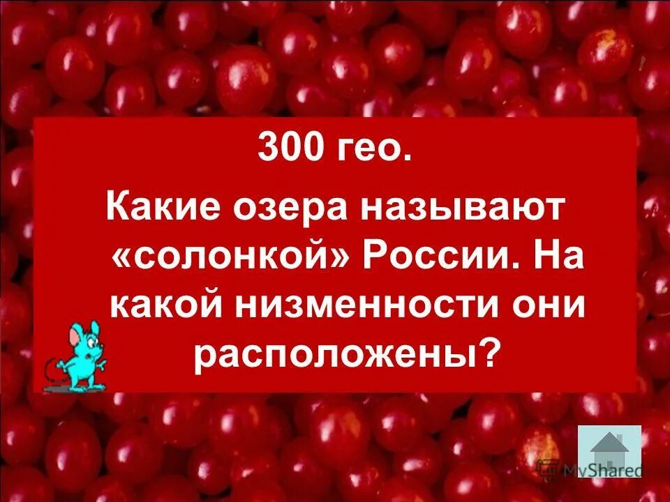 обложка журнала гео. научно-популярное издание. Esri гео. журнал geo. географические информационные системы.