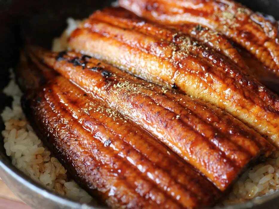 Как приготовить угря. Unagi kabayaki. кабаяки из угря. угорь унаги кабаяки. угорь копчёный unagi kabayaki речной.