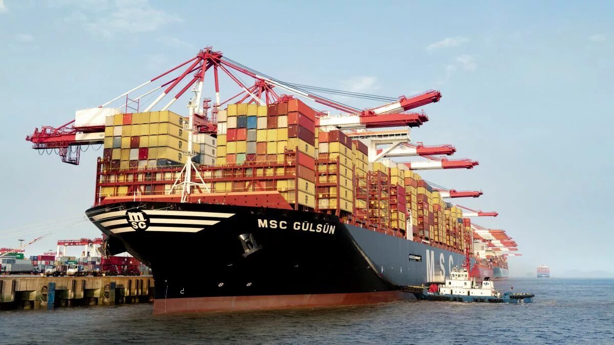 Msc hub2 где находится. Контейнеровоз msc gülsün. контейнеровоз msc накладная. ever ace контейнеровоз.