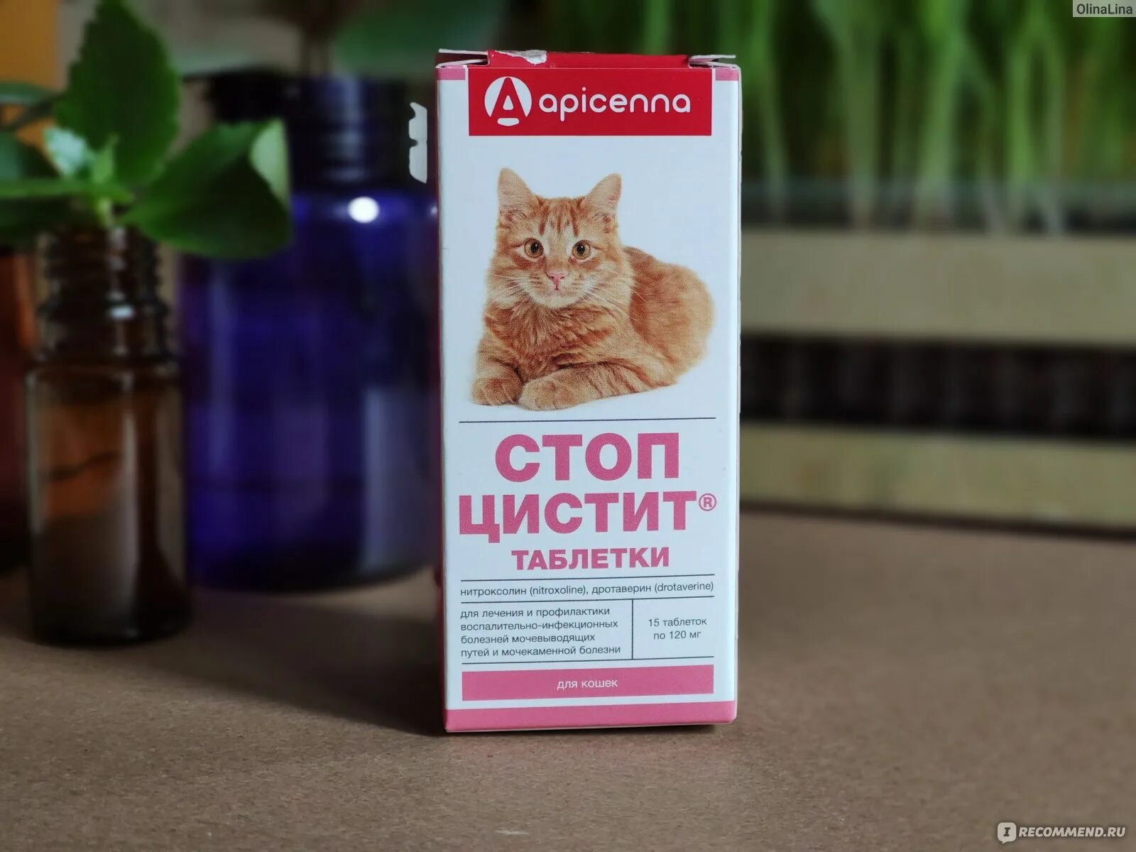 Стоп-цистит суспензия для кошек лекарство. Стоп цистит таблетки. Таблетки от цистита для кошек. Препараты от цистита для кошек. Мочегонное для кошек