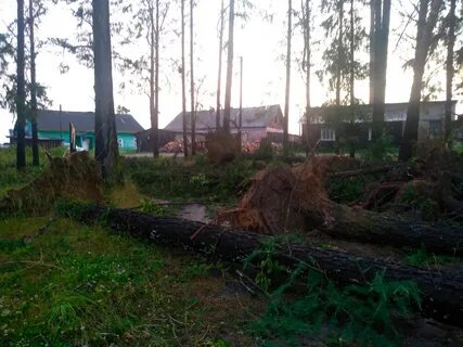 Погода в шуйге