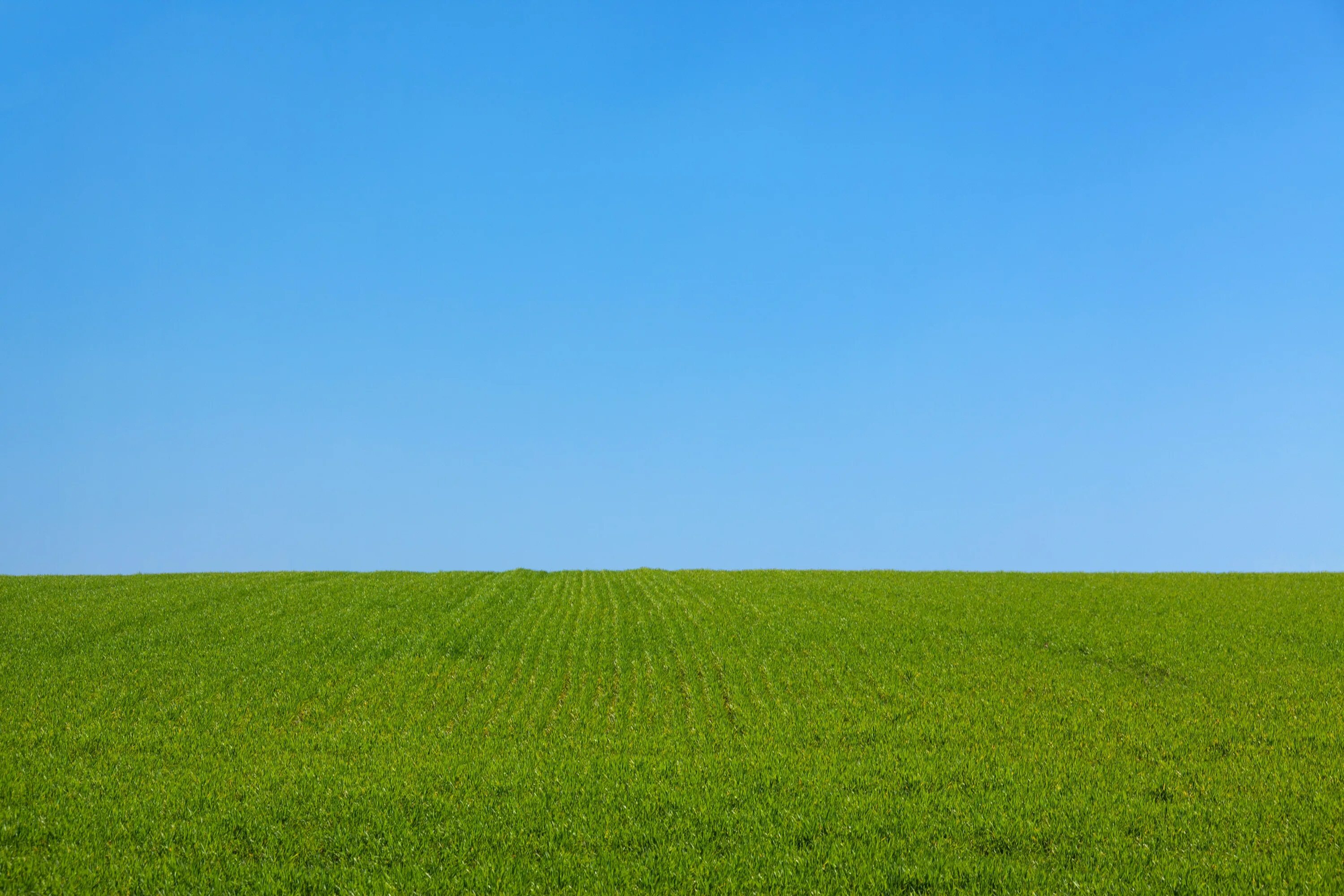 Flat fields