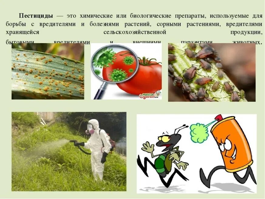 пестициды это. пестициды применяются. фунгицид полирам дф. пестициды. способы применения пестицидов.