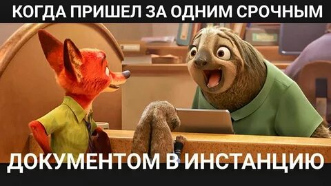 Блиц не работает