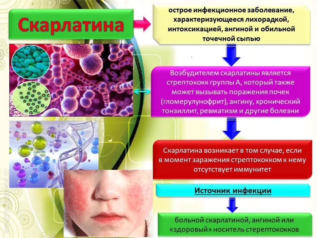 Возбудитель скарлатины клиника. Скарлатина стрептококковая инфекция. Скарлатина у детей информация. Высыпания при инфекционных заболеваниях.