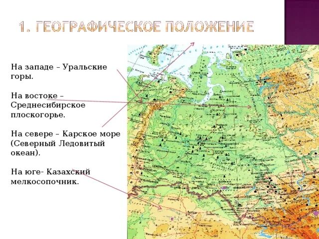 Где находится гора Уральские горы на карте. Плоскогорье средне Сибирское на карте Евразии. Казахский мелкосопочник на физической карте. Западная Сибирь Среднесибирское плоскогорье. Средняя сибирь это урал
