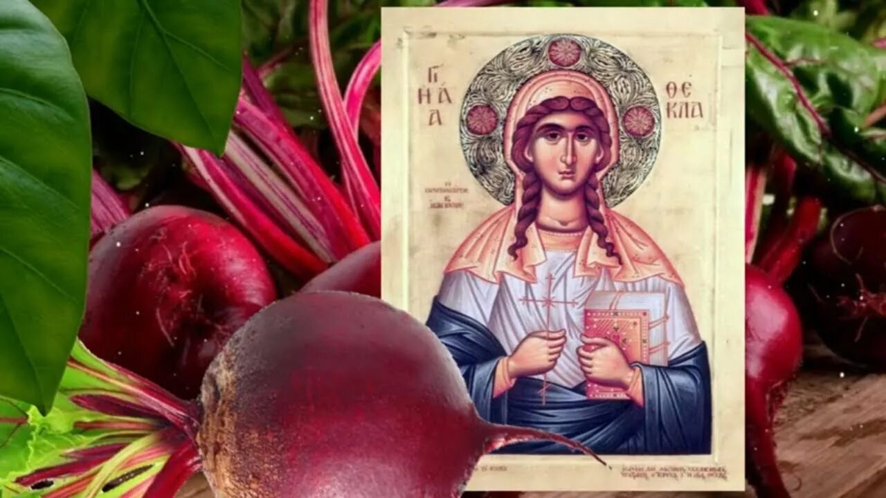 Свекольница девкам невольница. День свеклы. Сфекла свекольница1сентебря. Свекольница девкам невольница. Свекольница девкам невольница.