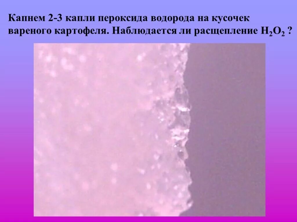 Перекись водорода под микроскопом. Расщепление перекиси водорода. Пероксид водорода (н2о2). Расщепление пероксида водорода ферментом каталазой. Пероксид водорода и картофель