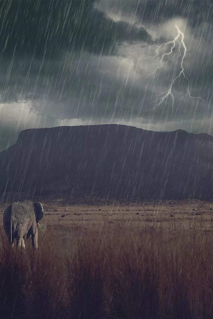 Savannah storm