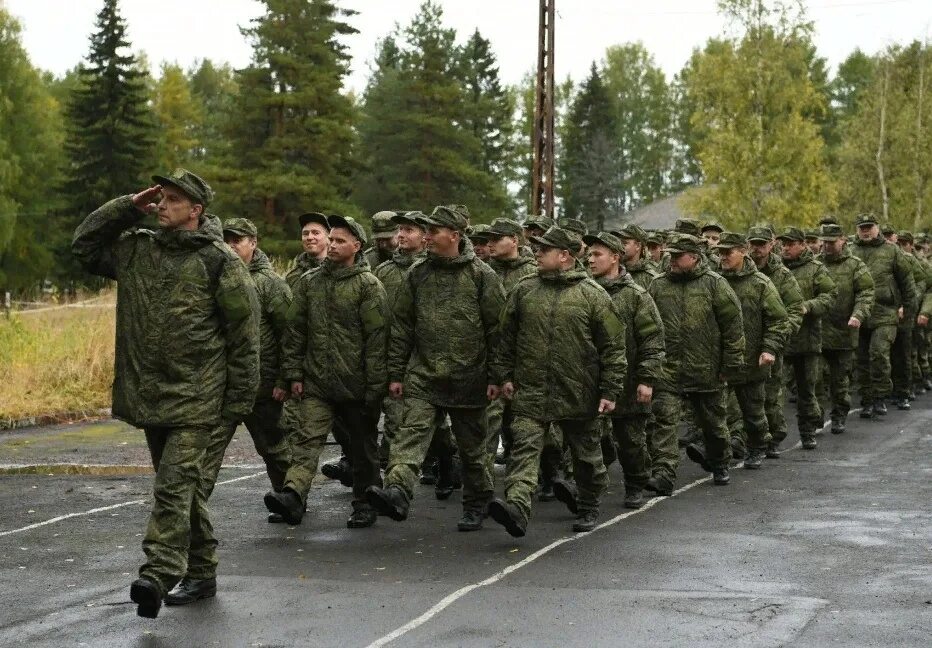 Какую мобилизацию объявил. Какую мобилизацию объявил