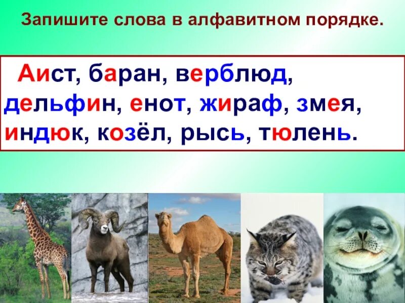 Слова в алфавитном порядке. Записать слова в алфавитном порядке. Запишите слова в алфавитном порядке. Расположите слова в алфавитном порядке.