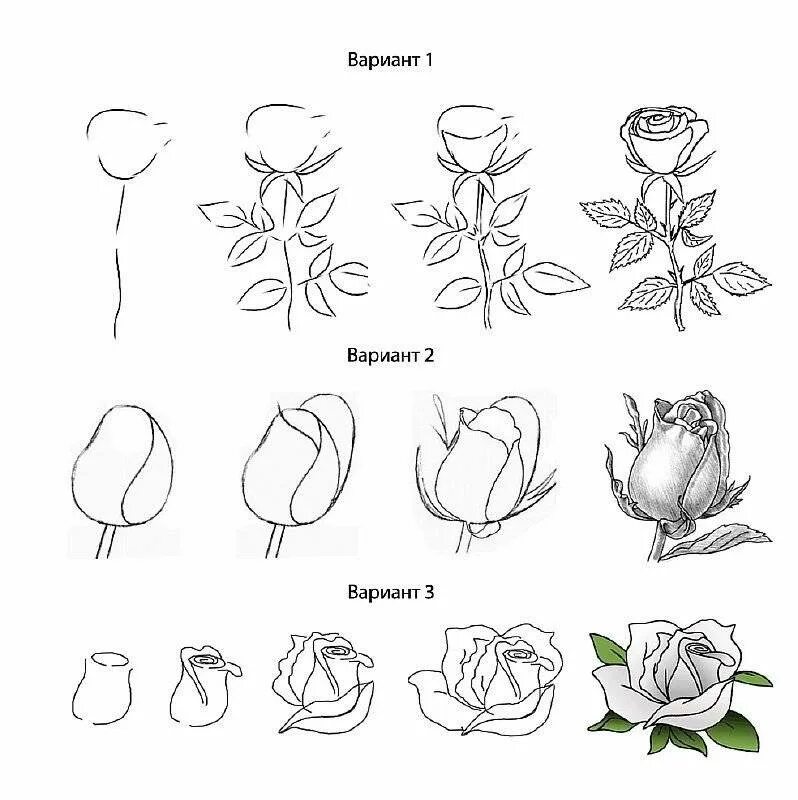 Пошаговые уроки с нуля. Пошаговый рисунок цветка. Цветы рисунок поэтапно. Простые цветы для рисования. Поэтапное рисование розы карандашом.