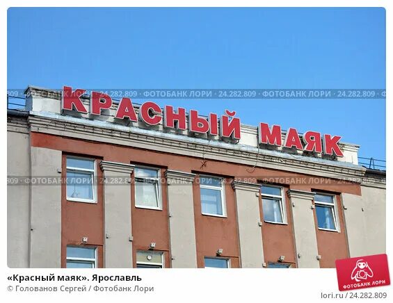 зао красный маяк ростовский район. красный маяк ярославль ферма. ооо красный маяк ярославская область ростовский район село марково. красный маяк ярославль. красный маяк ростовский район.