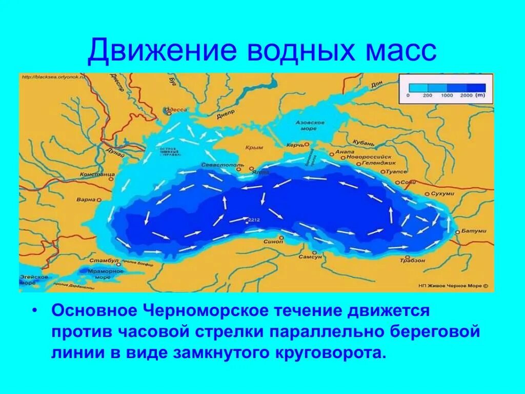 Карта черных вод. Карта течений черного моря. Схема течений в черном море. Направление течений чёрного моря схема. Карта морских течений черного моря.