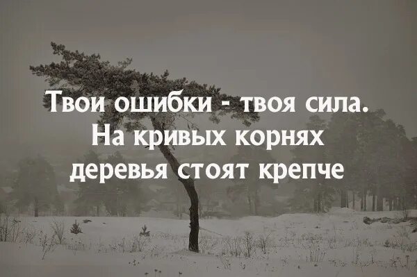 Одна твоя ошибка. На кривых корнях деревья стоят крепче. твои ошибки твоя сила на кривых корнях. твои ошибки твоя сила на кривых корнях деревья стоят крепче. твои ошибки твоя сила на кривых корнях деревья стоят.