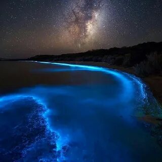 Море и звезды и вода