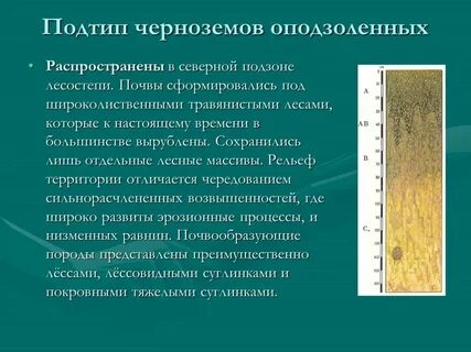 Черноземные почвы распространены