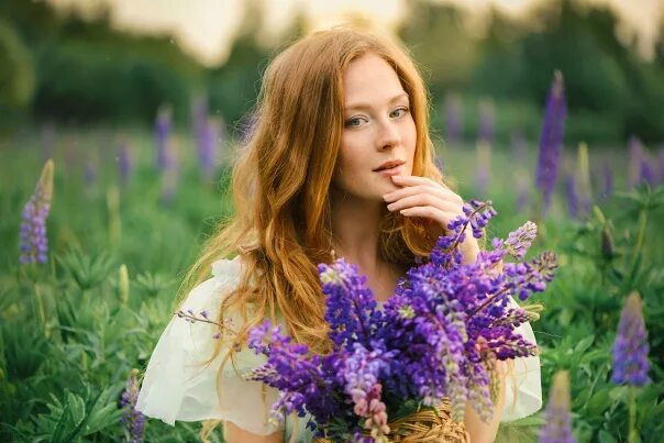 Download wallpaper macro, flowers, nature, Irina Joanne, section macro in resolu