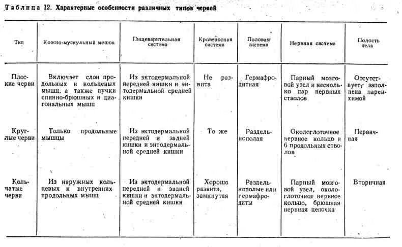 Сравнение строения червей. Таблица по биологии 7 класс черви плоские круглые кольчатые. Биология 7 класс таблица плоские черви круглые черви кольчатые черви. Сравнительная характеристика червей биология. Таблица плоские черви круглые черви 7 класс.