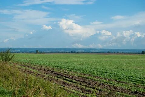 Find field