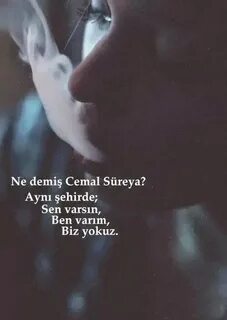 Sen varsin