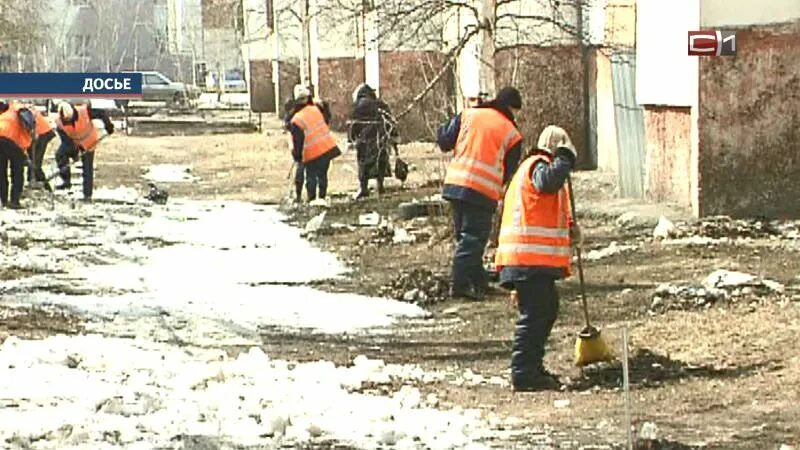 Сургут таджики. Таджики в Сургуте. Новости мигранты Сургута.