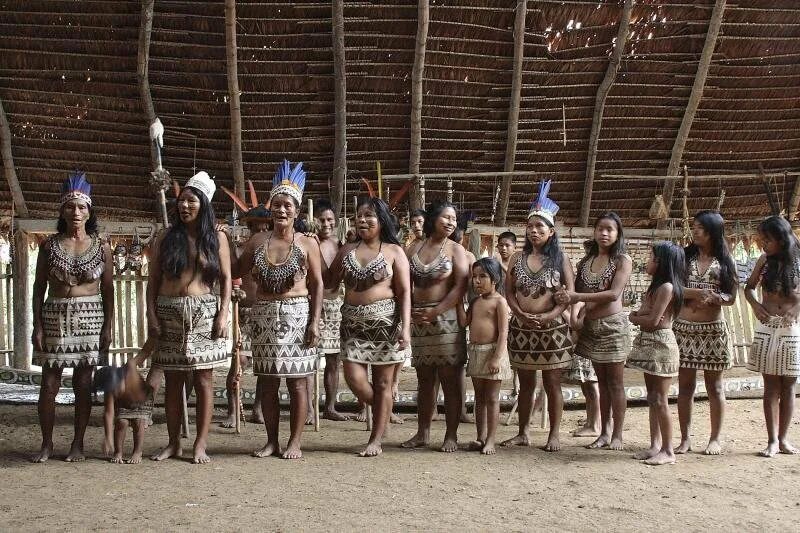 Амазонские индейцы Дикие племена. Коренные жители Амазонии.