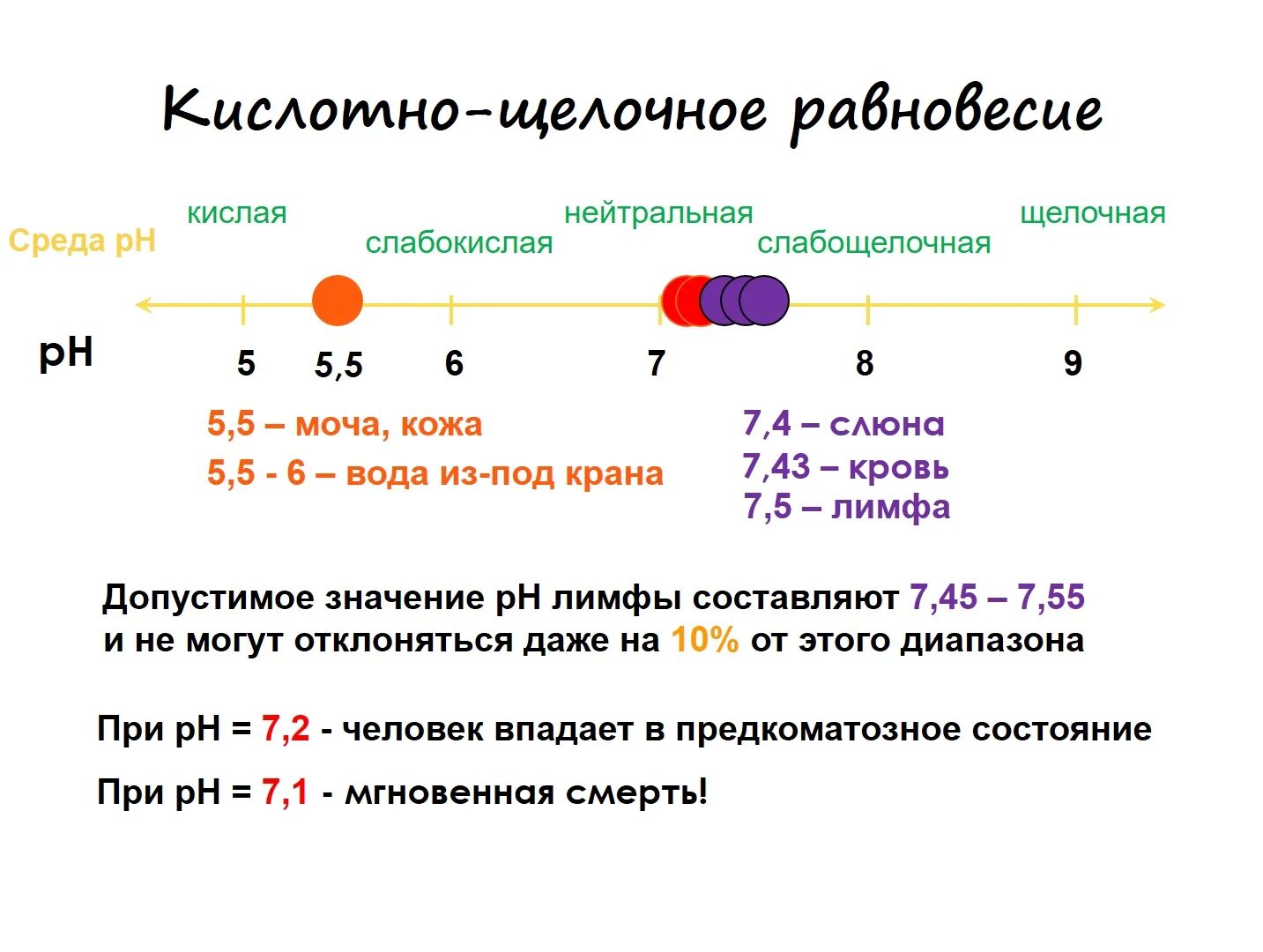 Щелочная реакция крови