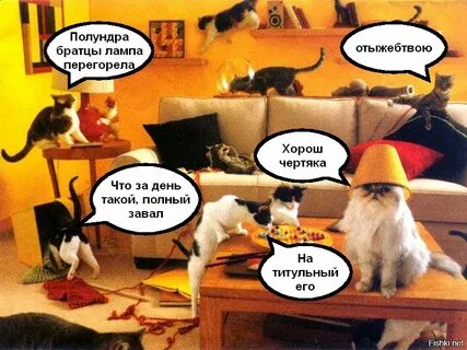 Полундра