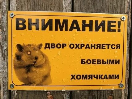 Хомяк ошибка при входе