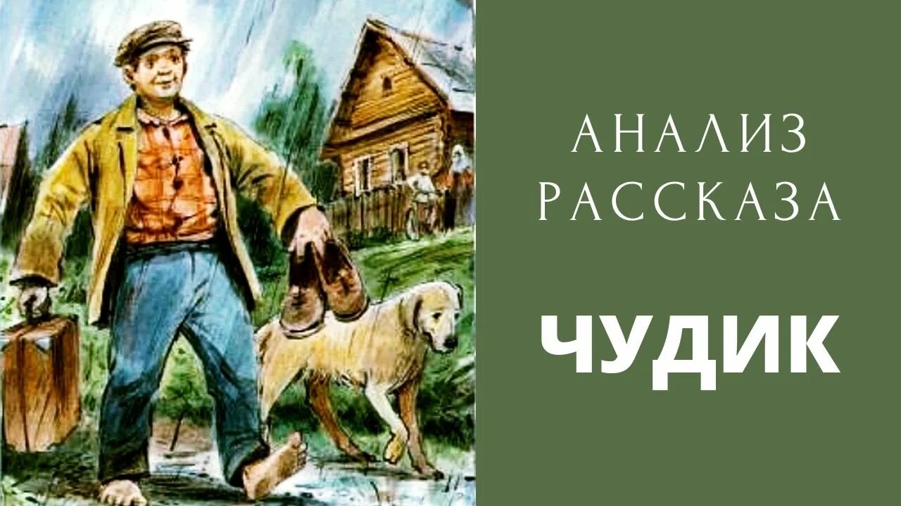 В.М.Шукшина "чудик". Шукшин рассказ чудик. Иллюстрации к рассказу Шукшина чудик.