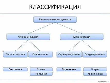 Классификация кишечной