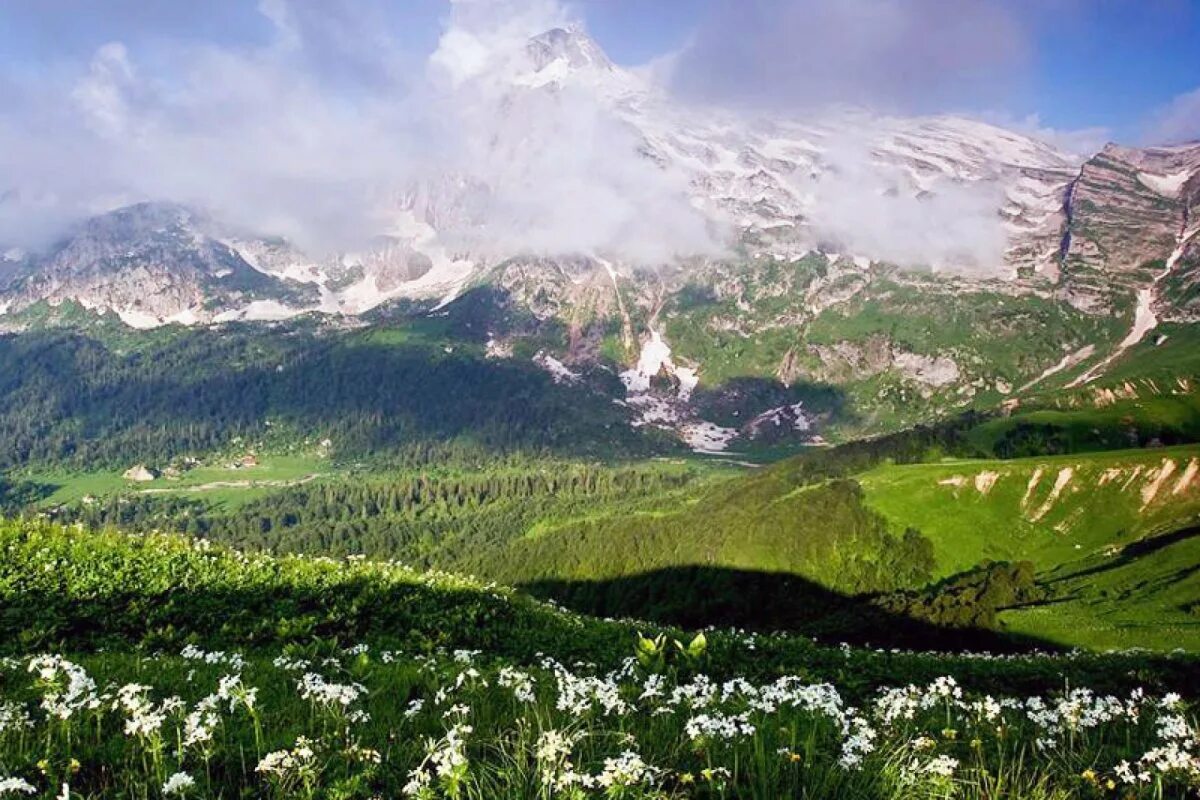 Плато Лаго-Наки Горная Адыгея. Плато Лаго-Наки, Адыгея, Краснодарский край. Горы Адыгеи Лагонаки. Адыгея гора плато лаки Наки. Г адыгея краснодарский край