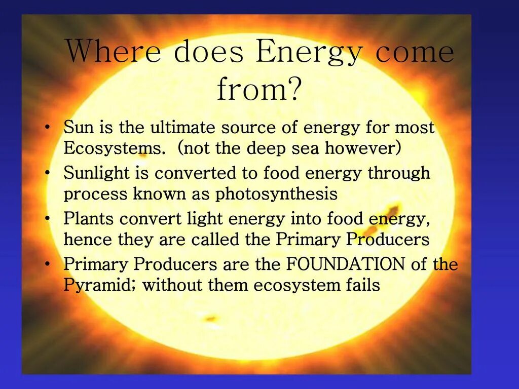 Iller. Palcomics where do children come from. Where does the food come from for kids. What does the word reformation mean. Match the questions with the answers 5 класс.