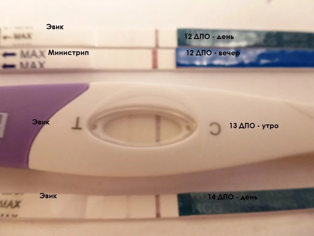 Тест на беременность утром и вечером. Тесты на беременность утро вечер. Тест на беременность вечером. Тест на беременность положительный а вечером отрицательный. Когда делать тест на беременность утром вечером