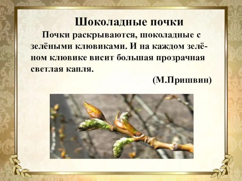Камни в почках и мочевом пузыре. Лекарства для почечной фильтрации. Строение почки слои. На каждой почке капля. Капли канефрон 100 мл.