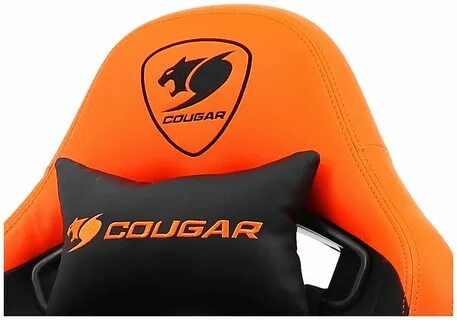 Cougar explore scientific
