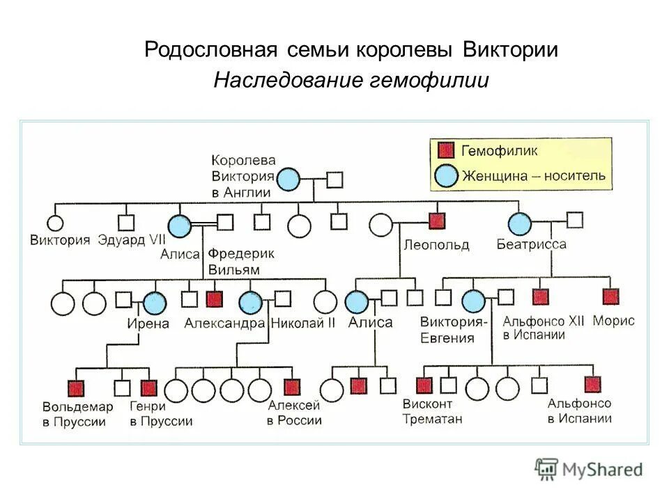 Создание потомки