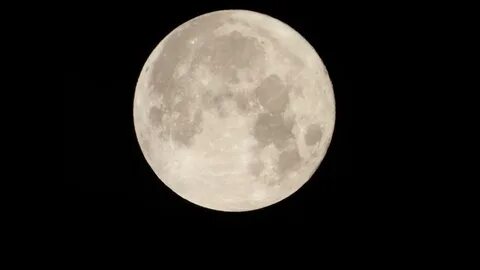 Moon imp
