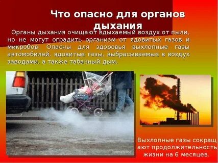 Очищает вдыхаемый воздух