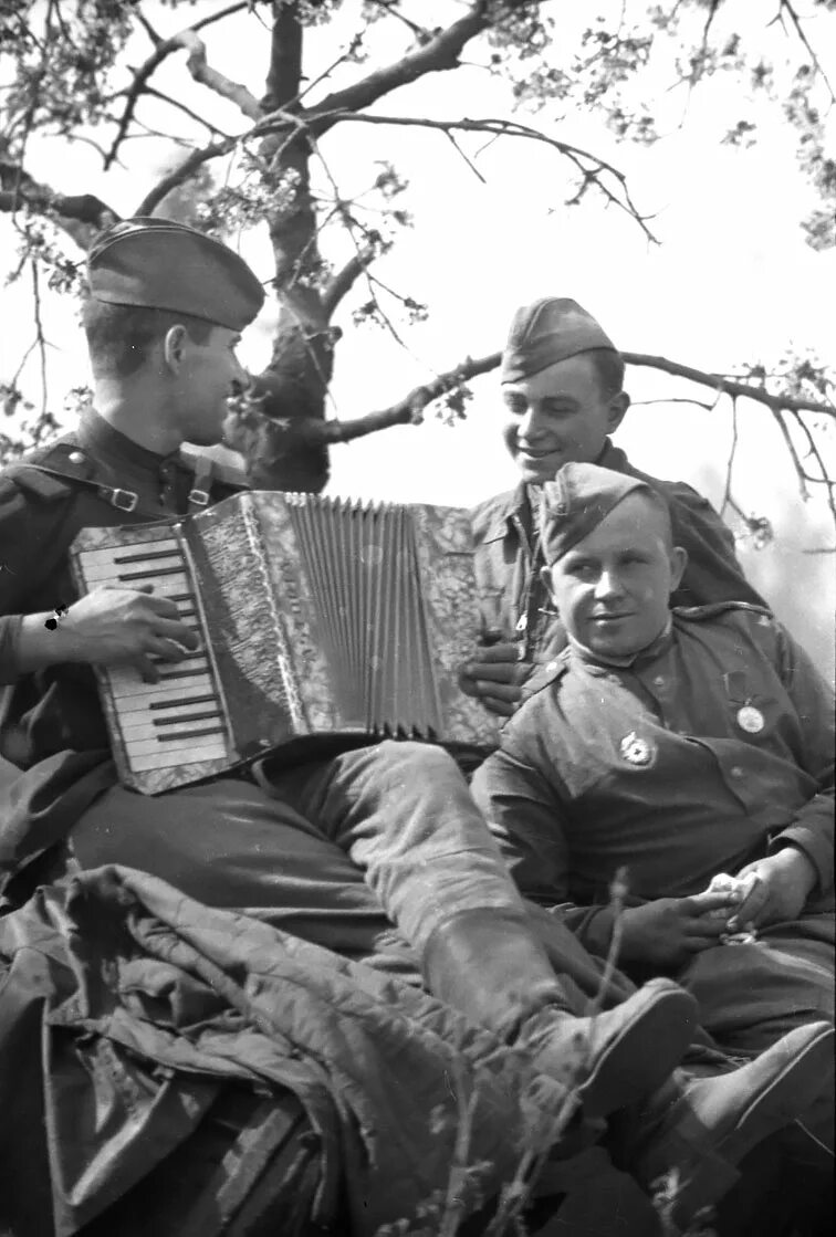 На солнечной поляночке слова. На солнечной поляночке песня. Тальяночка текст. Песня на солнечной поляночке слушать. На солнечной поляночке ноты.