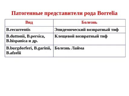 Клещевой возвратный тиф
