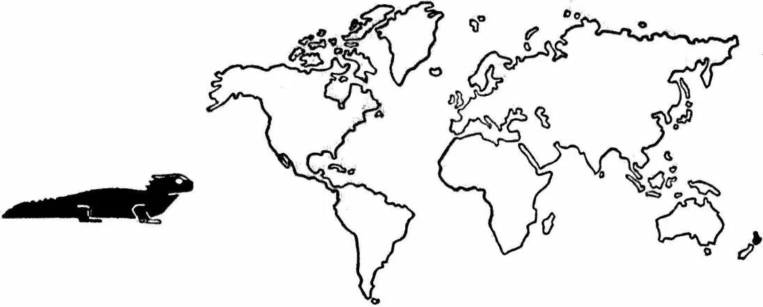 Реликты реликтовые ареалы. Реликтовый усач ареал обитания. Ареал обитания реликтового дровосека на карте. Гаттерия ареал реликтовый ареал. Реликтовый ареал.