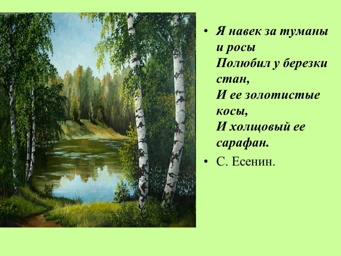 Есенин стихи о Березе я навек за туманы и росы полюбил у Березки. Я навек за туманы и росы полюбил у Березки стан и ее. Есенин я навек за туманы и росы. Стих я навек за туманы и росы.