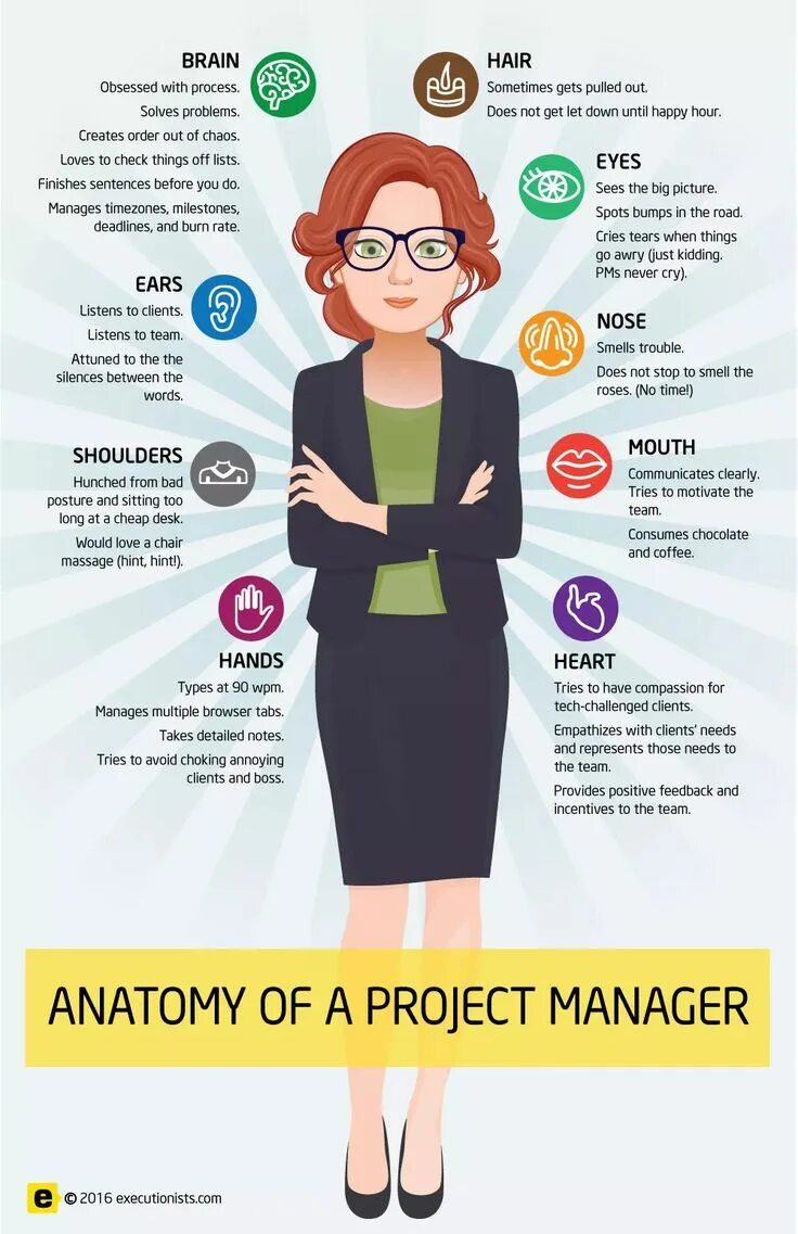 Картинка project manager. Начинающему менеджеру проектов. Проджект менеджер. Задачи менеджера проекта. Проджект менеджер.