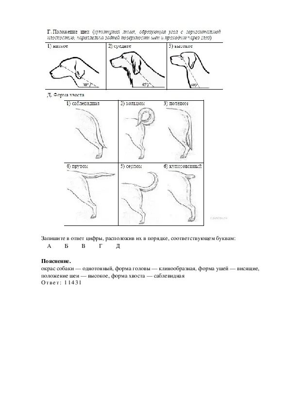 ОГЭ по биологии описание собаки. Кошки ОГЭ биология задания. Морфологические признаки организмов ОГЭ биология. Работа с текстом биологического содержания. Огэ биология скворцов